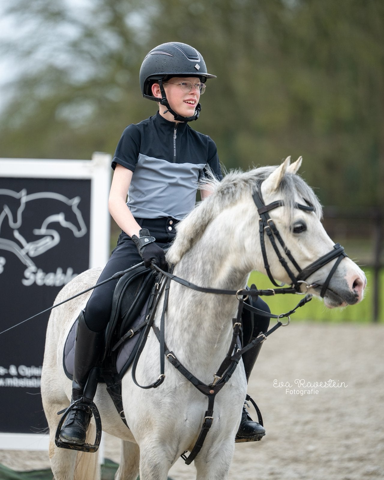 Droompony zoekt zijn nieuwe gouden match, Dieren en Toebehoren, Met stamboom, Ruin, M, 3 tot 6 jaar