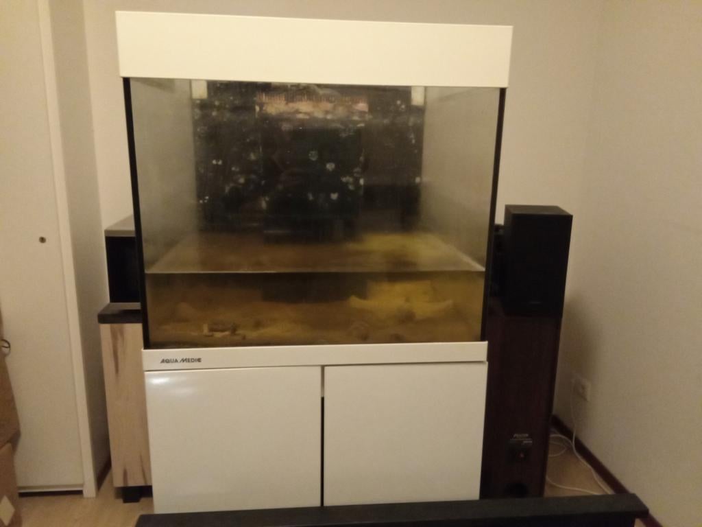 Mooi aquarium met alles erbij licht pomp verwarming kast, Ophalen of Verzenden, Zo goed als nieuw