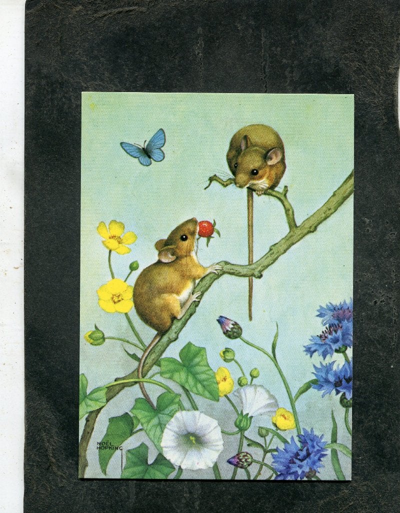 Ansicht Noel Hopking - Strawberry Fare, Verzamelen, Ansichtkaarten | Themakaarten, Verzenden, 1980 tot heden, Ongelopen