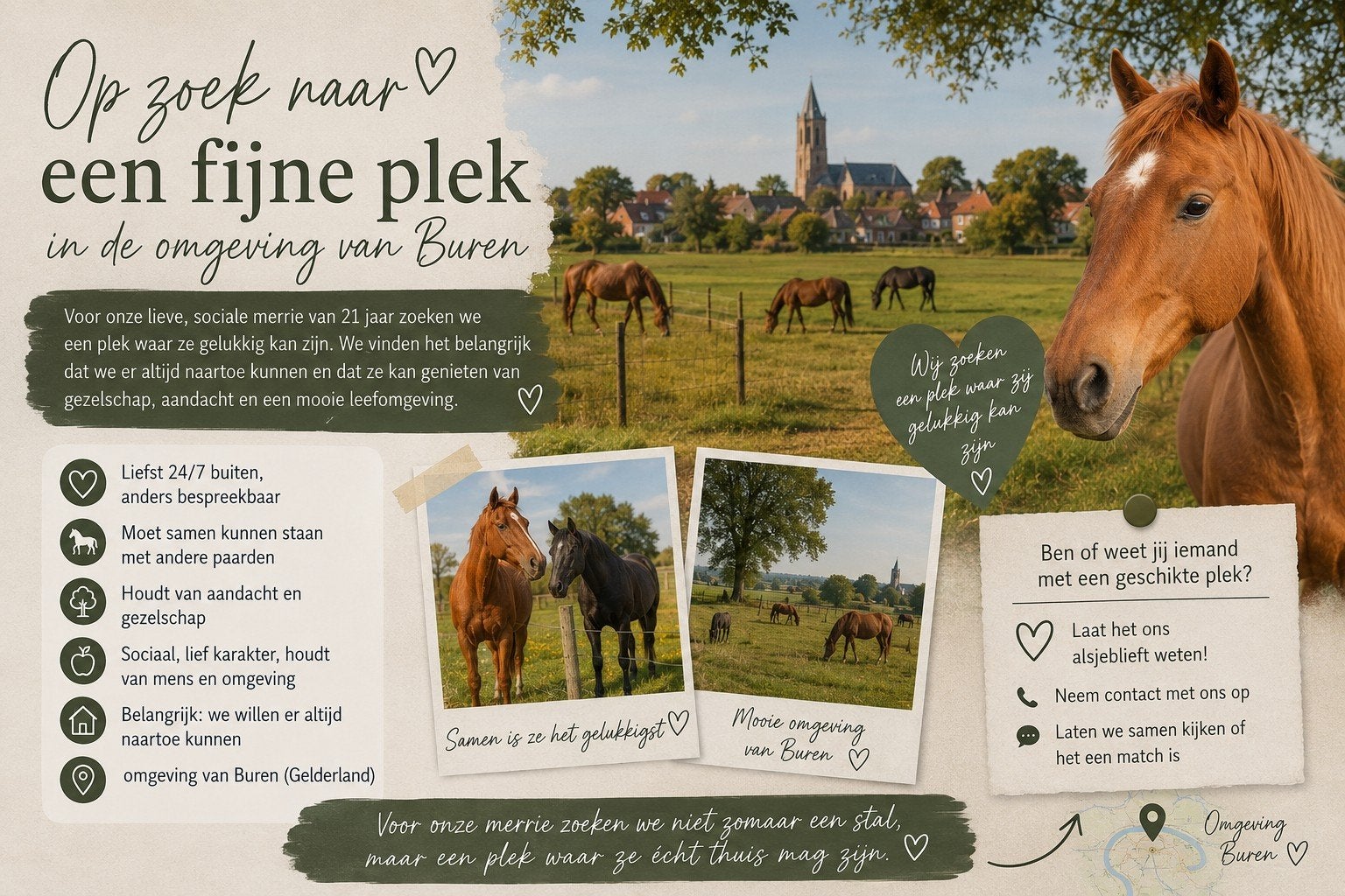 GEZOCHT!! fijne plek voor een lieve merrie., Weidegang