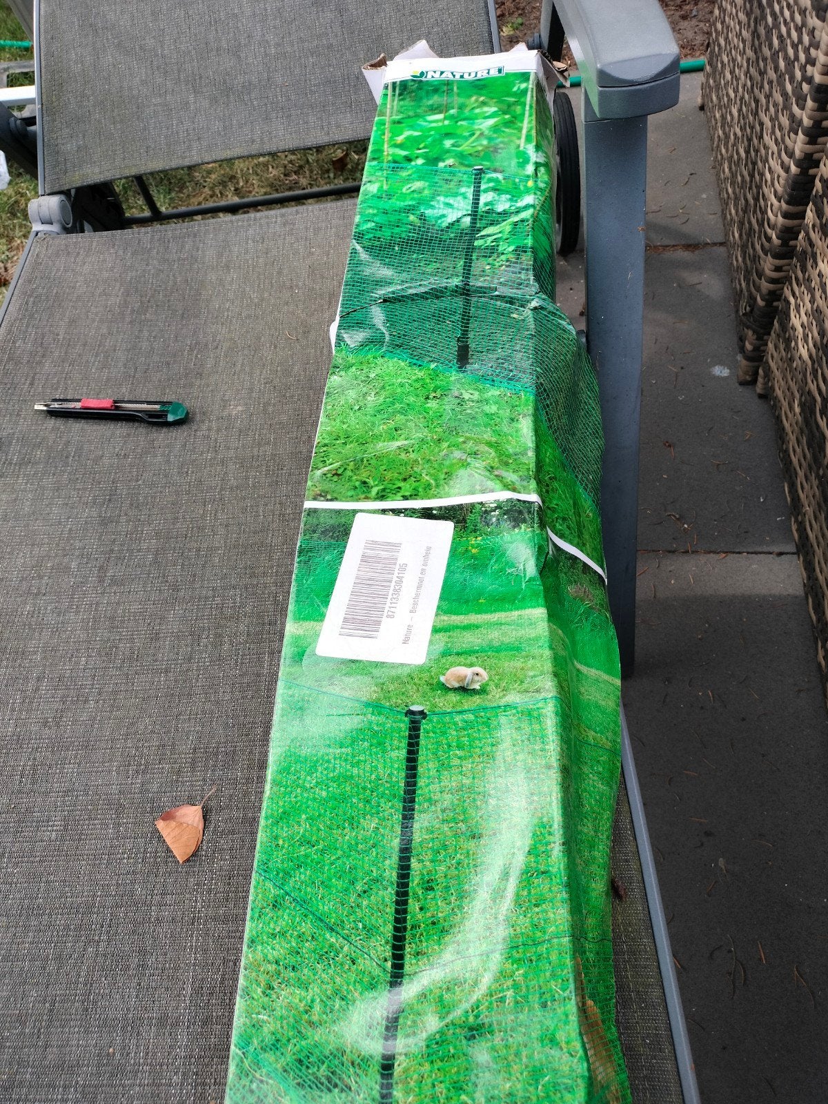 hekje nieuw., Ophalen, Minder dan 75 cm, Kooi, Minder dan 60 cm