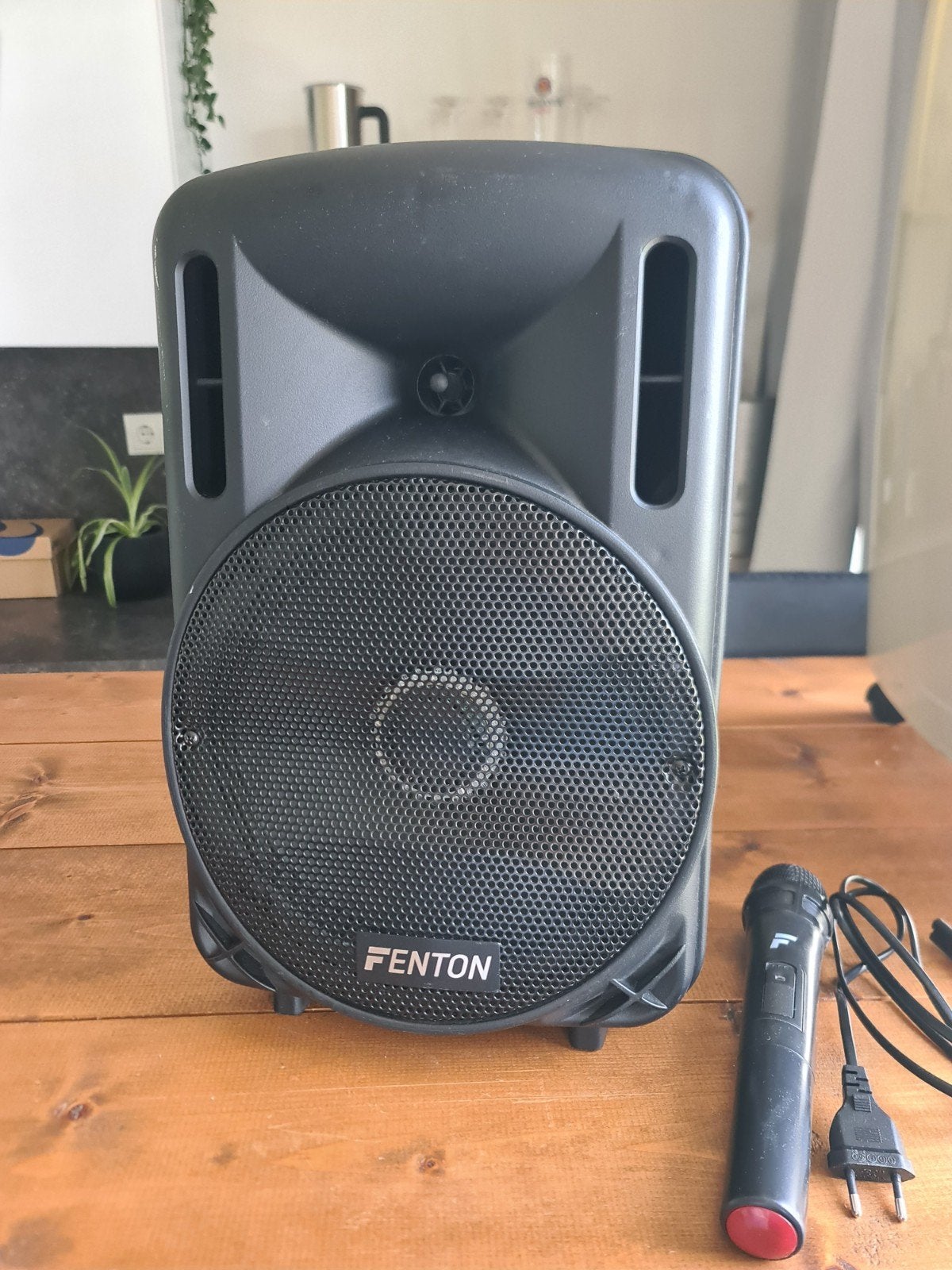 Fenton Bluetooth speaker met karaoke microfoon, Ophalen of Verzenden, Gebruikt, Minder dan 500 watt