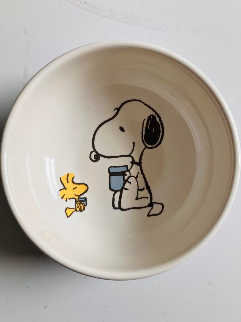 Snoopy peanuts kom, Ophalen, Zo goed als nieuw, Overige stijlen, Kom(men)