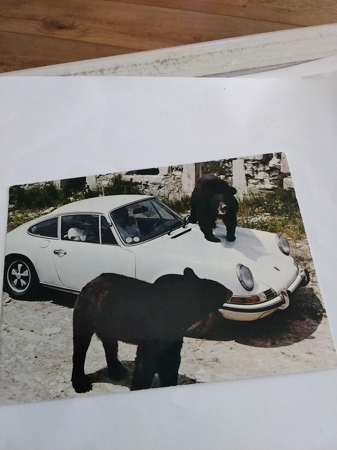 Vintage Ansichtkaart: Porsche met Beren - Reserve Africaine, Verzamelen, Ansichtkaarten | Themakaarten, Ophalen of Verzenden
