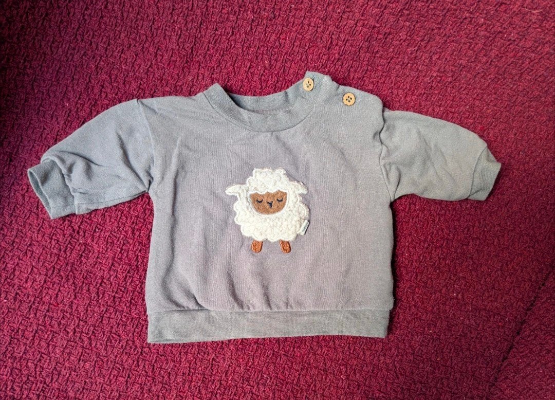 Schattig truitje met schaapje, maat 50, in goede staat, Ophalen of Verzenden, Zo goed als nieuw, Jongetje of Meisje, Truitje of Vestje