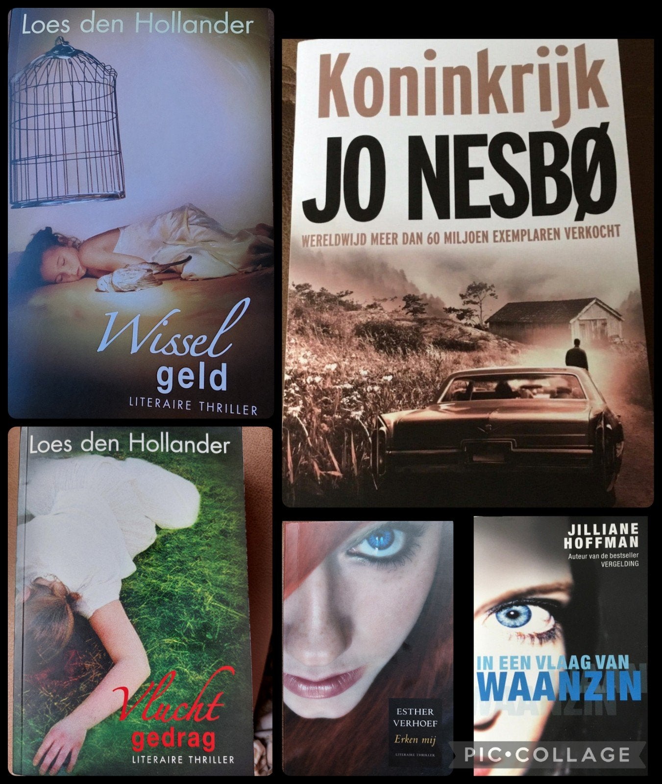 Thriller boekenpakket: Loes den Hollander, Jo Nesbø, e.a., Ophalen of Verzenden, Gelezen, Loes den Hollander, Jo Nesbø, Jilliane Hoffman, Esther Verhoef