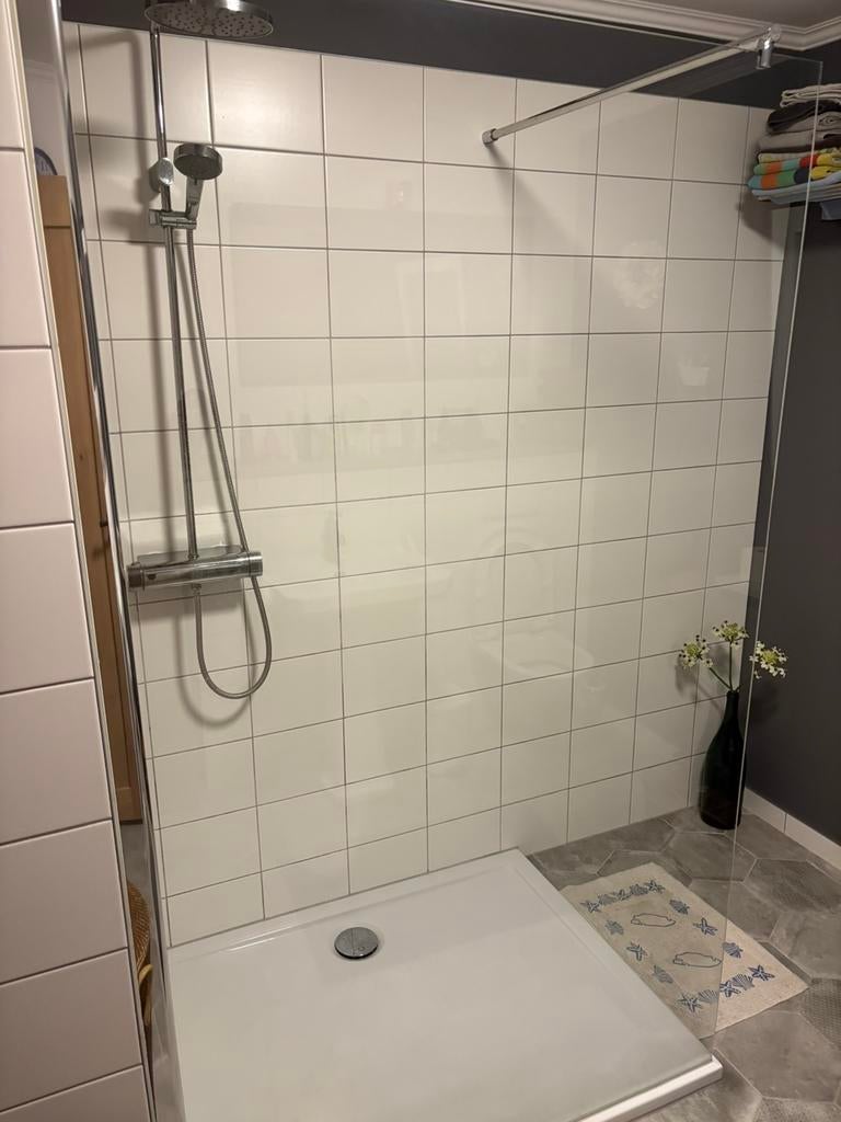 Glazen douchewand, Ophalen, Gebruikt