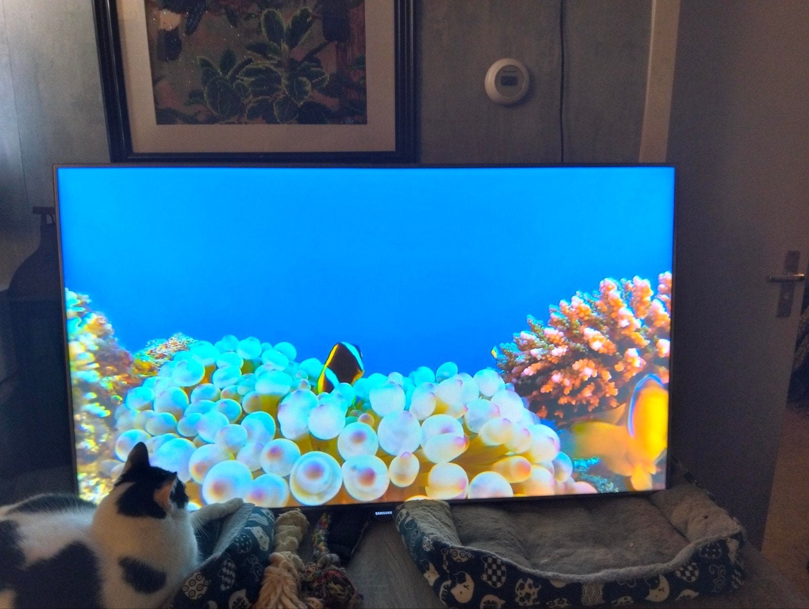 Samsung Full HD Smart LED TV 46 inch, Ophalen, Support@samsung.com, 50 Hz, Samsung Electronics Co., Ltd. 129, Samsung-ro, Yeongtong-gu, Suwon-si, Gyeonggi-do, Korea