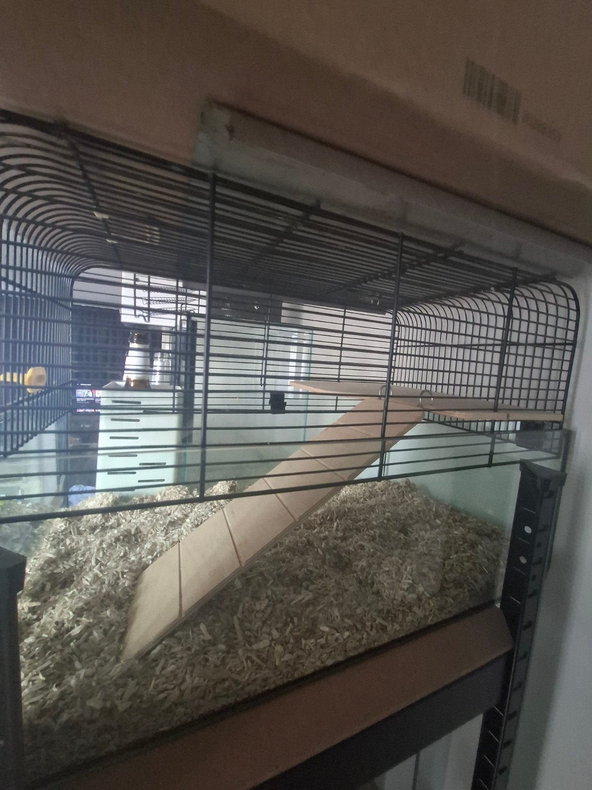 Quarantaine/koppel hokje voor muizen GRATIS, Dieren en Toebehoren, Knaagdieren en Konijnen | Hokken en Kooien, Kooi, Gebruikt