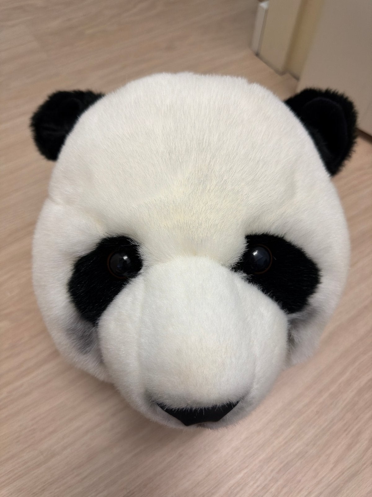 Panda hoofd voor aan de muur - Zo Goed als Nieuw, Overige merken, Overige karakters, Overige typen, Ophalen of Verzenden
