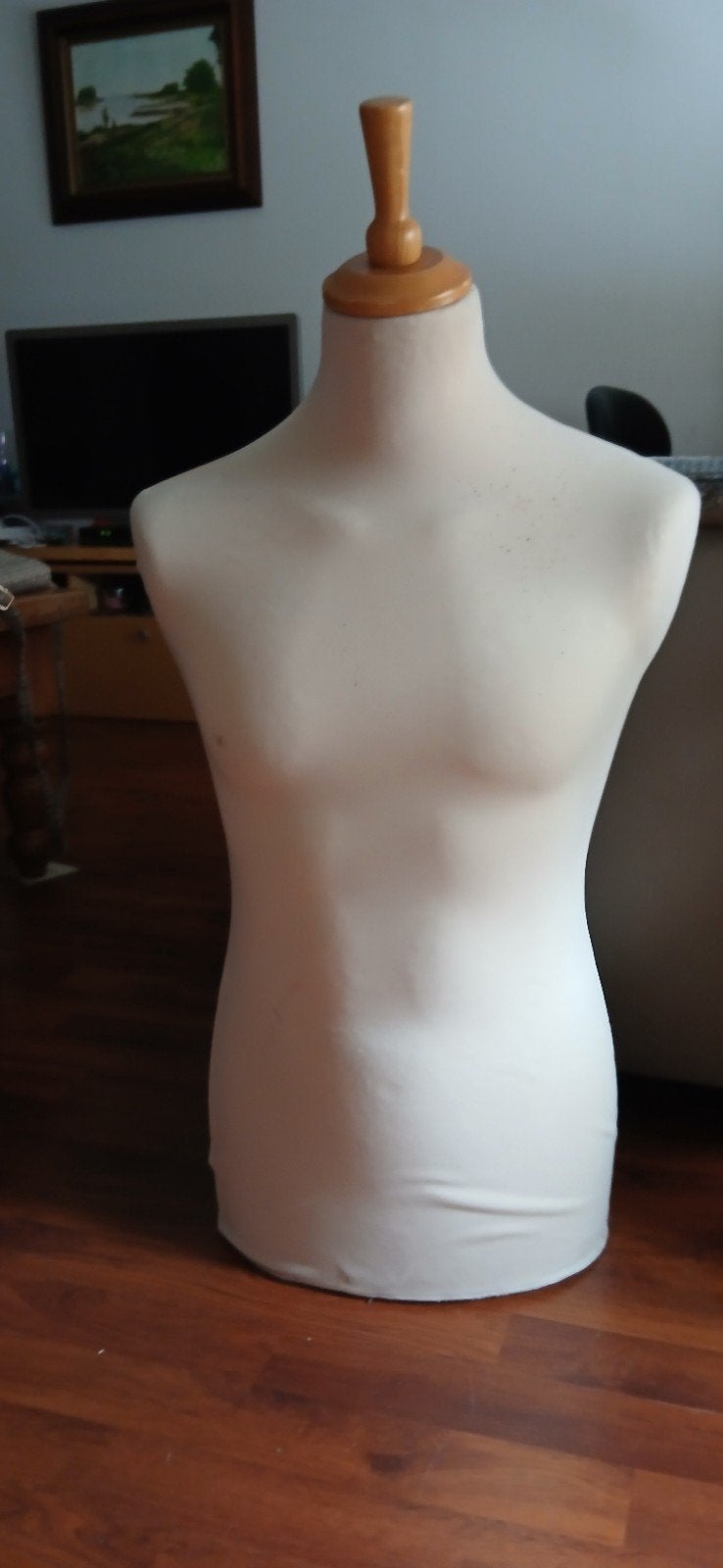 Buste paspop - Ideaal voor kledingpresentatie, Kleding | Dames, Overige Dameskleding, Zo goed als nieuw, Ophalen