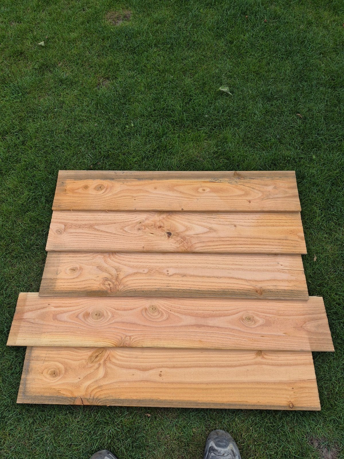 Douglas Zweeds Rabat Blank Hout 6 stuks, Doe-het-zelf en Verbouw, Hout en Planken, Ophalen, Minder dan 25 mm, Nieuw, Plank