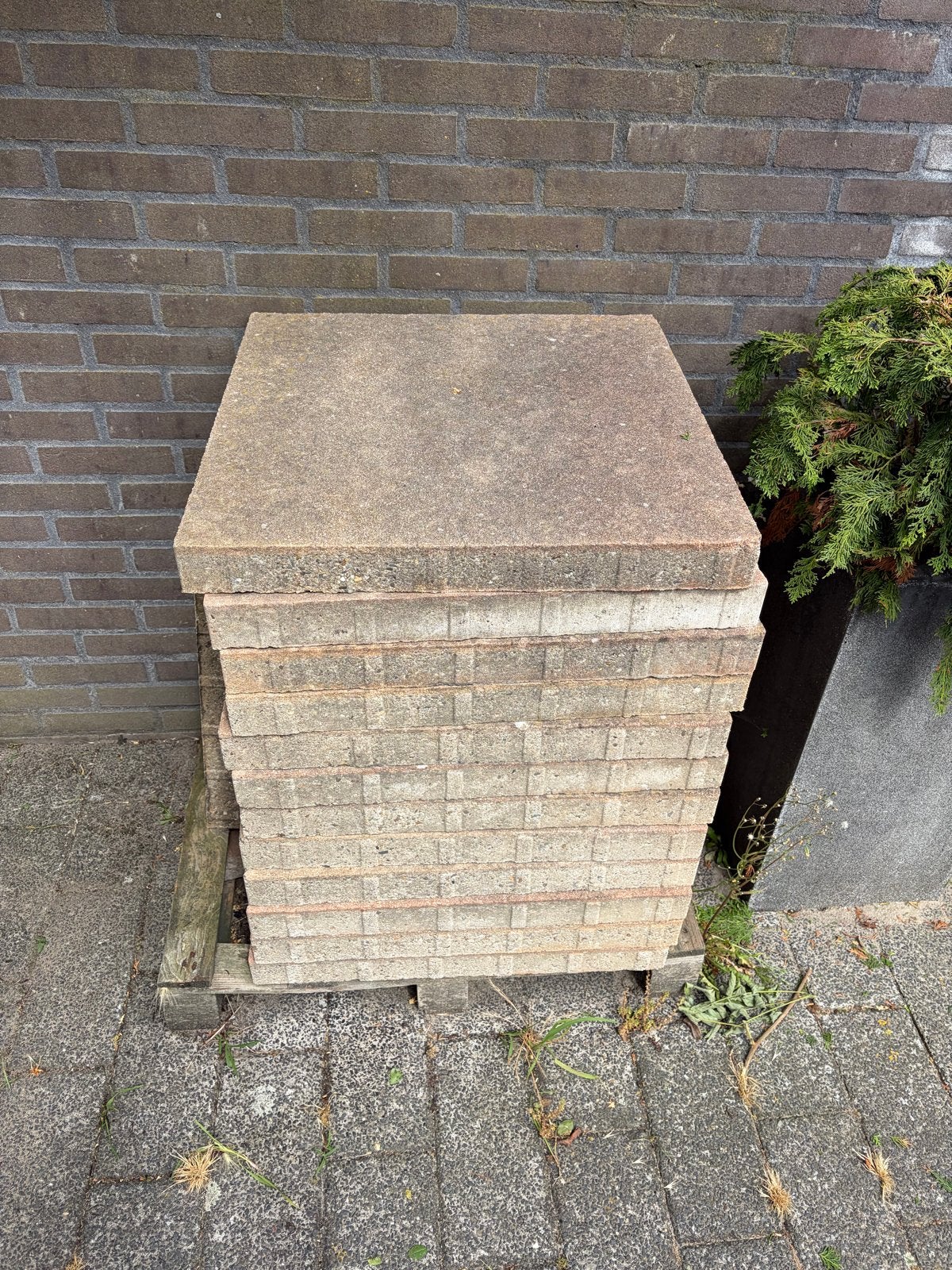 Gratis ophalen: Gebruikte terrastegels, Tuin en Terras, Tegels en Klinkers, Gebruikt, Ophalen of Verzenden, Minder dan 5 m², Beton