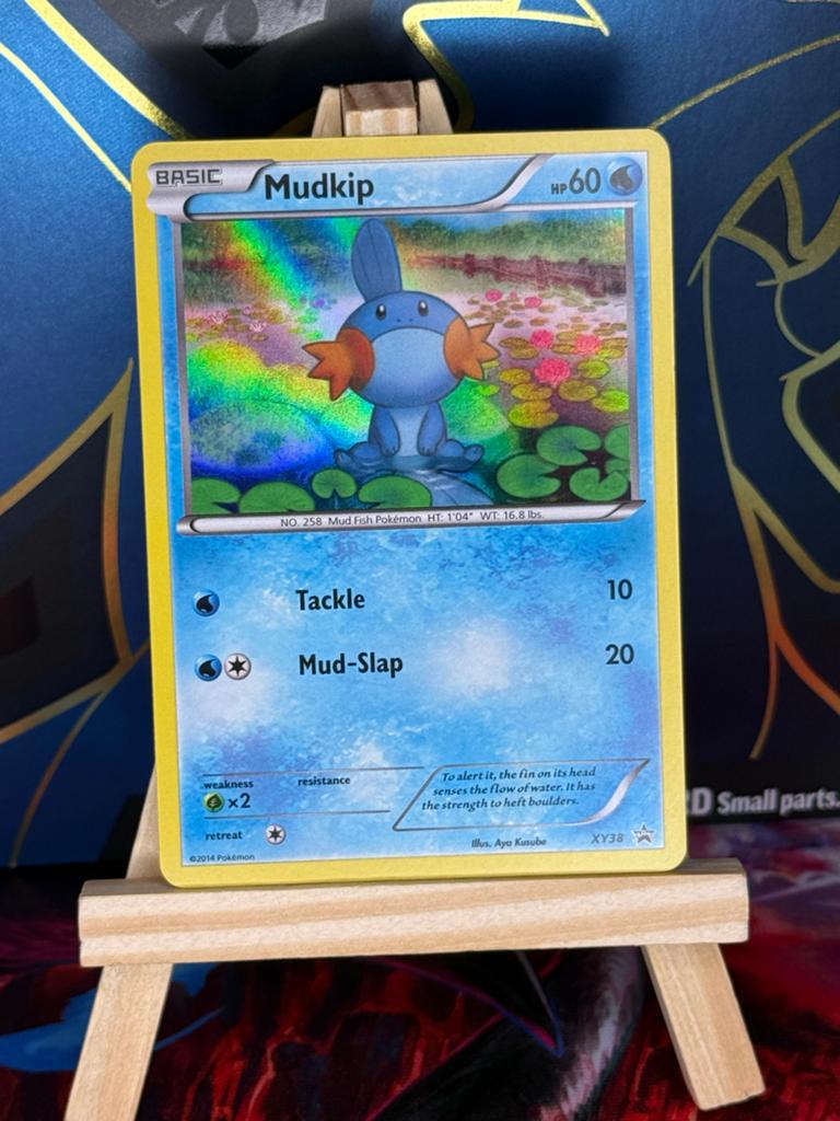 Mudkip #XY38 | Pokemon Promo, Hobby en Vrije tijd, Verzamelkaartspellen | Pokémon, Ophalen of Verzenden, Zo goed als nieuw, Losse kaart