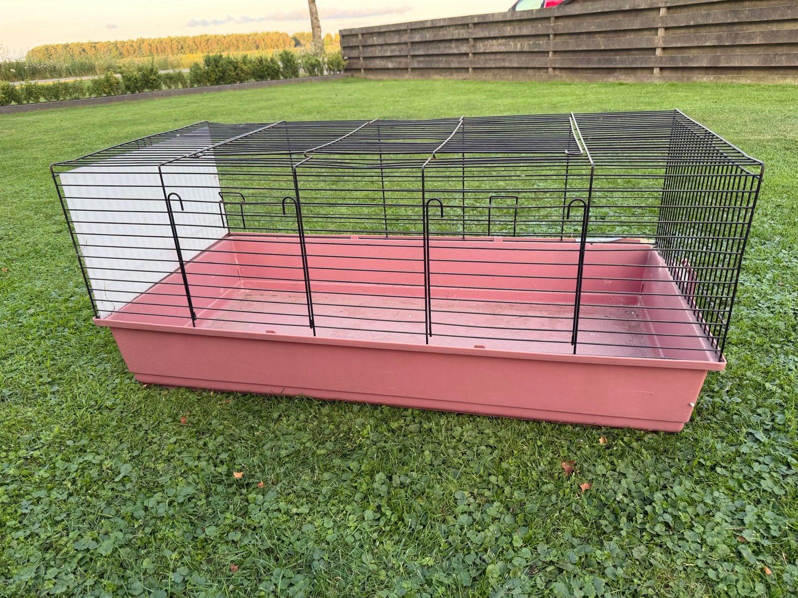 Gratis - Kooi kleine huisdieren, konijnen, jonge kittens, Dieren en Toebehoren, Ophalen, Gebruikt, Overige typen