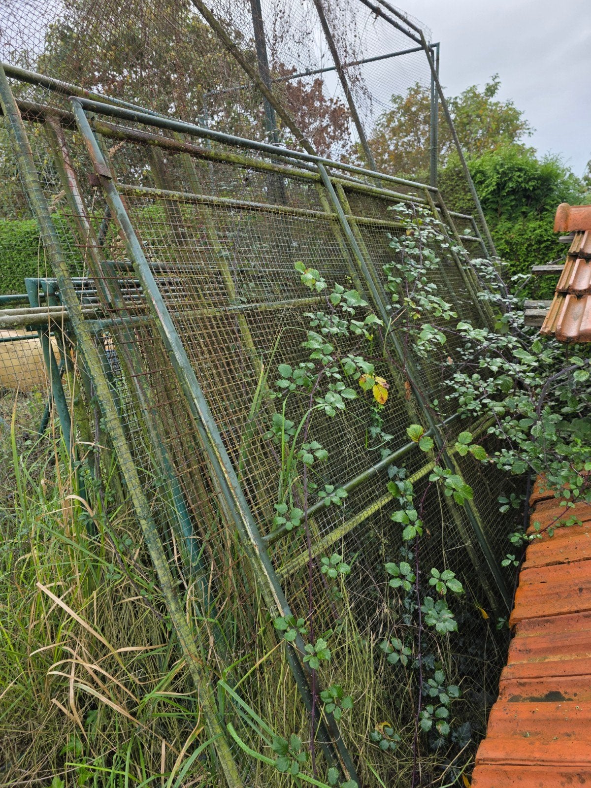 Metalen constructie/kooiwerk volière, Ophalen, Gebruikt, IJzer, 200 cm of meer