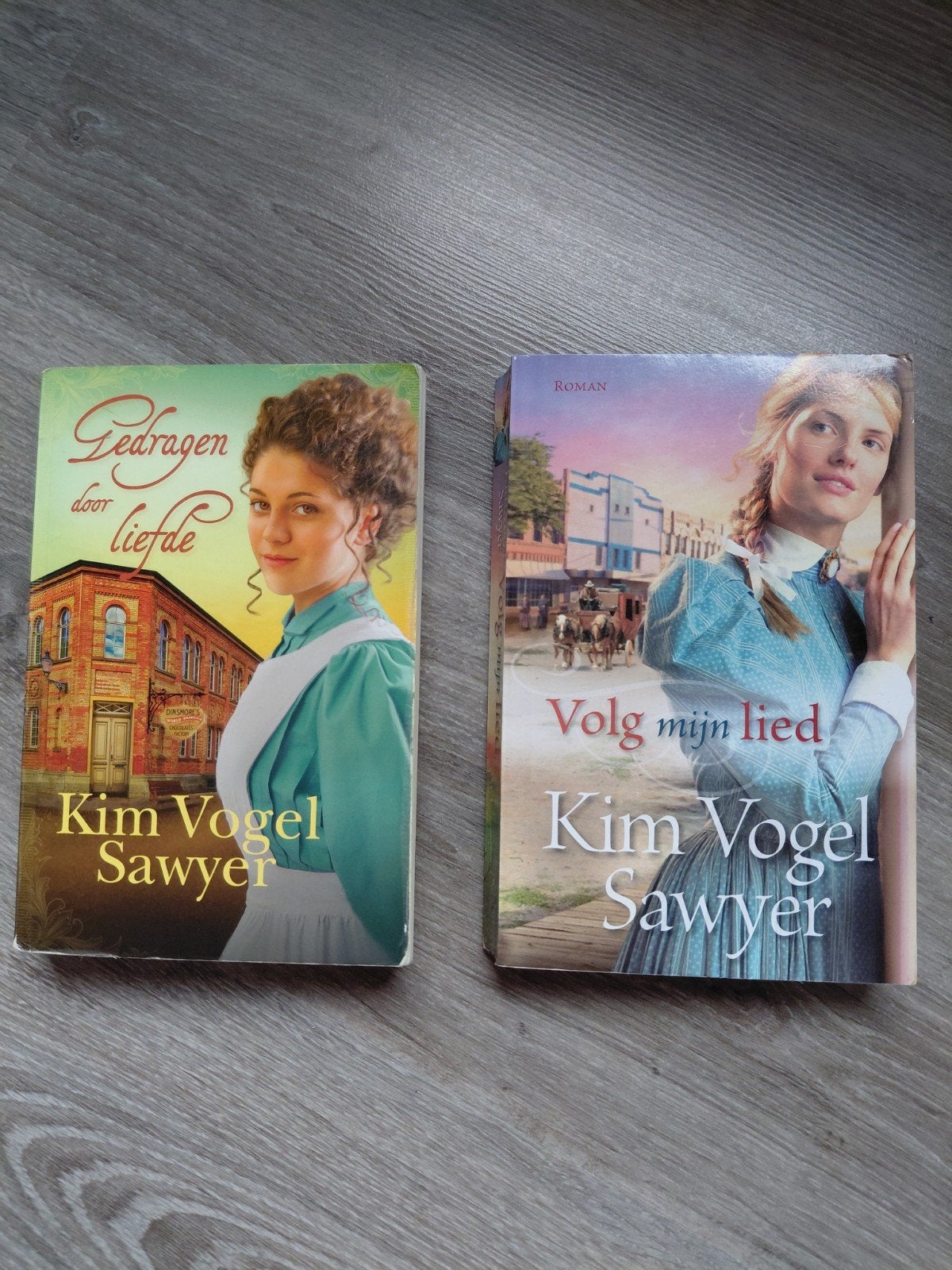 Kim vogel sawyer, Ophalen of Verzenden, Gelezen