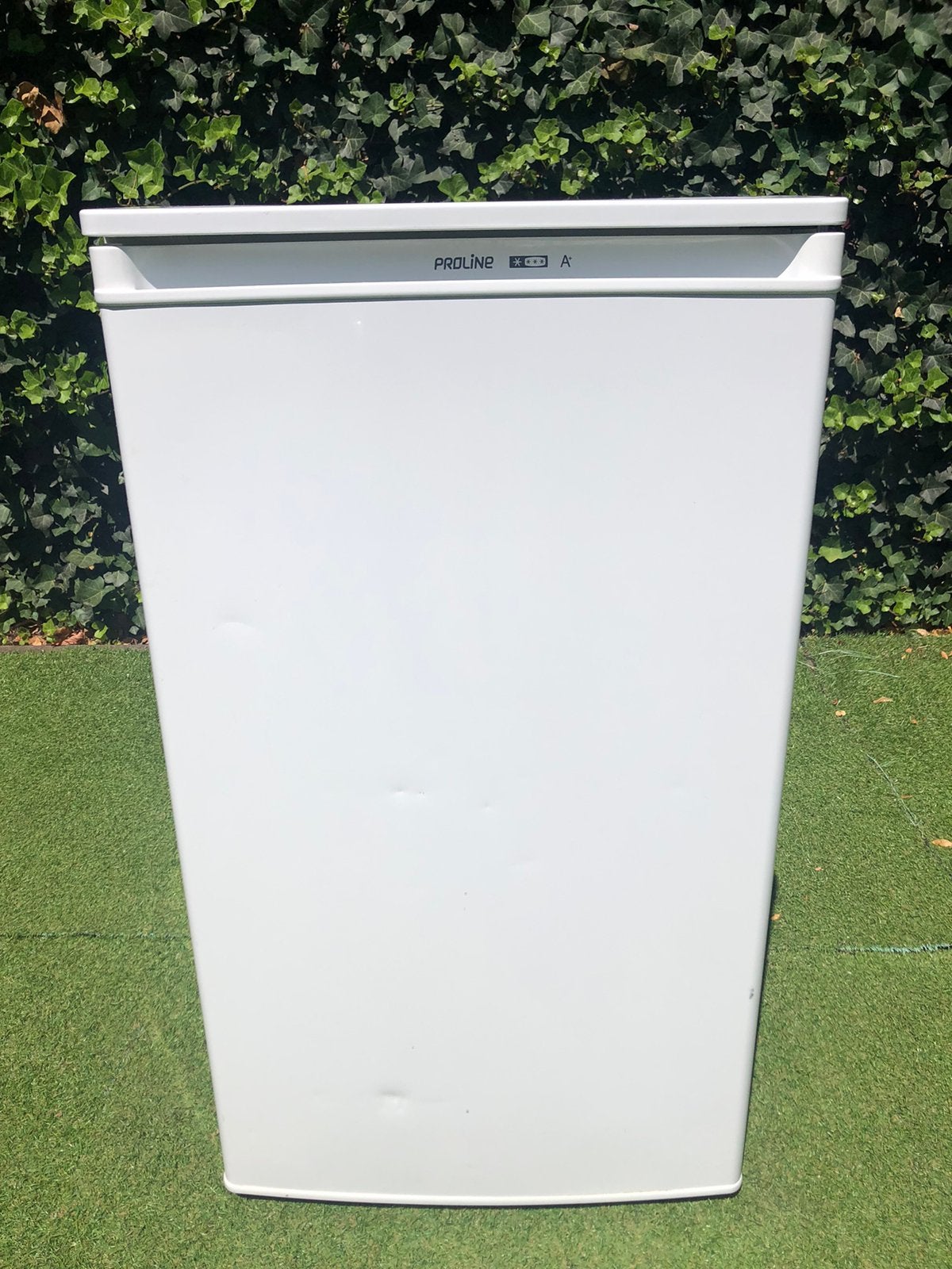 Proline vriezer, Gebruikt, Minder dan 60 cm, Vrijstaand, Ophalen