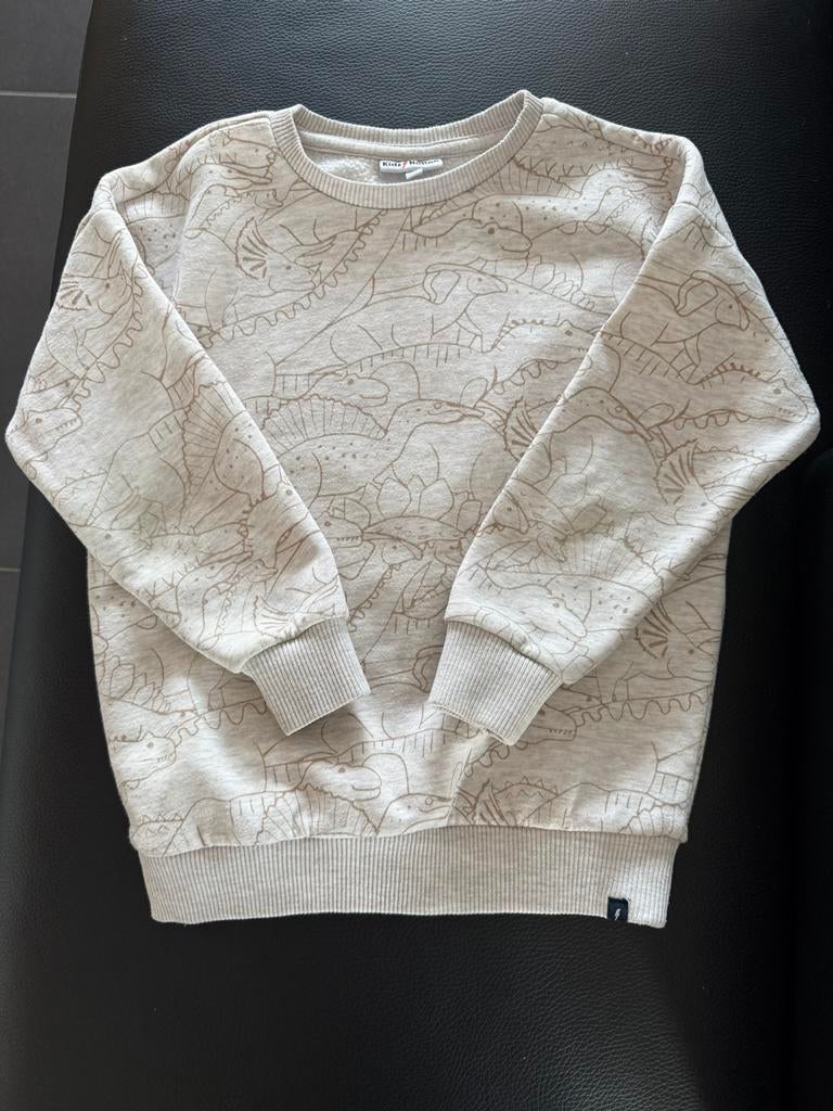 Sweater, Verzenden, Zo goed als nieuw, Jongen, Trui of Vest