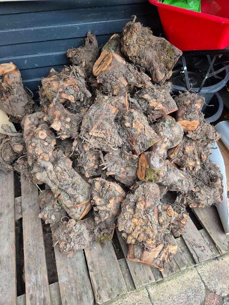 Te koop haardhout appel, Minder dan 3 m³, Ophalen of Verzenden
