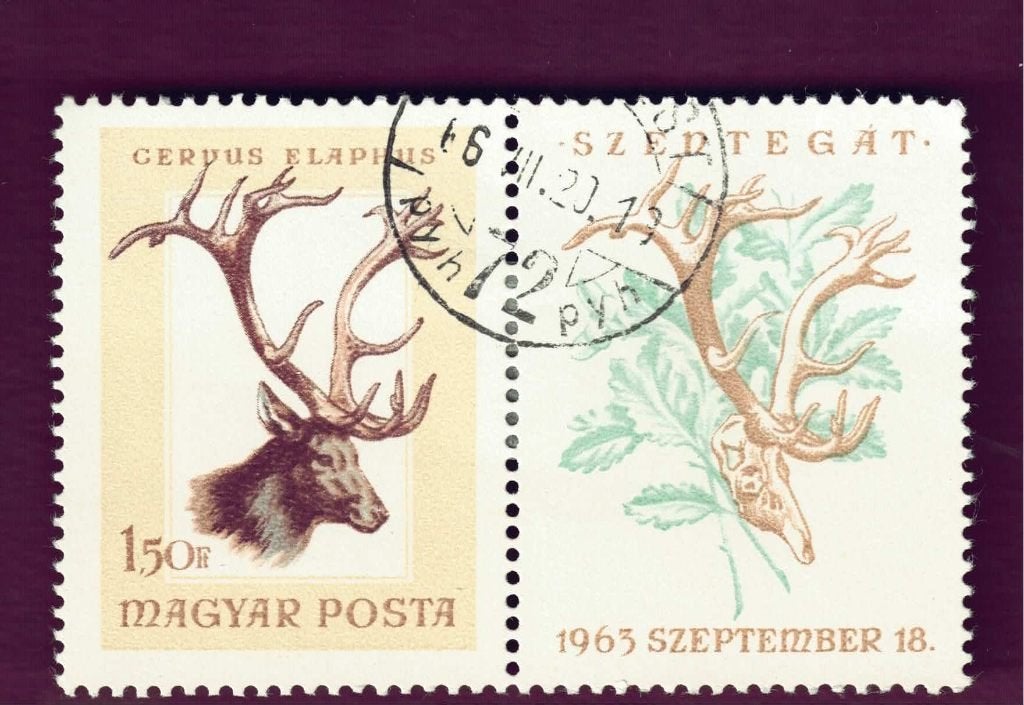 Fauna - Dieren - Hert - Magyar - 1.50 Ft + aanhangsel - gebr, Ophalen of Verzenden, Gestempeld, Dier of Natuur