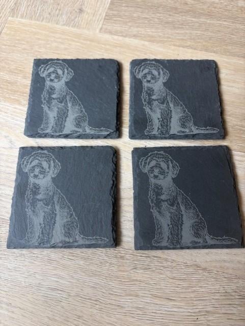 maltipoo onderzetters - eigen ontwerp mogelijk, Ophalen of Verzenden, Nieuw, Glas of Kopje