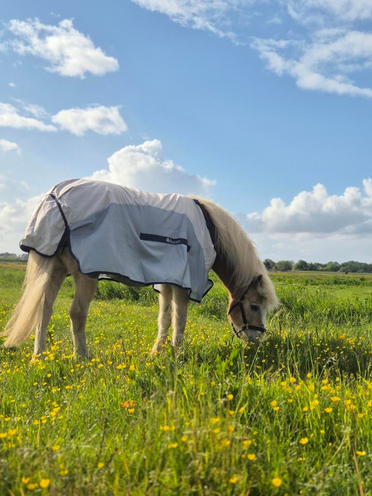 Nieuwe Bucas Buzz-off Rain Met Afneembare Hals
Maat 6.0, Dieren en Toebehoren, Paarden en Pony's | Dekens en Dekjes, Ophalen, Nieuw