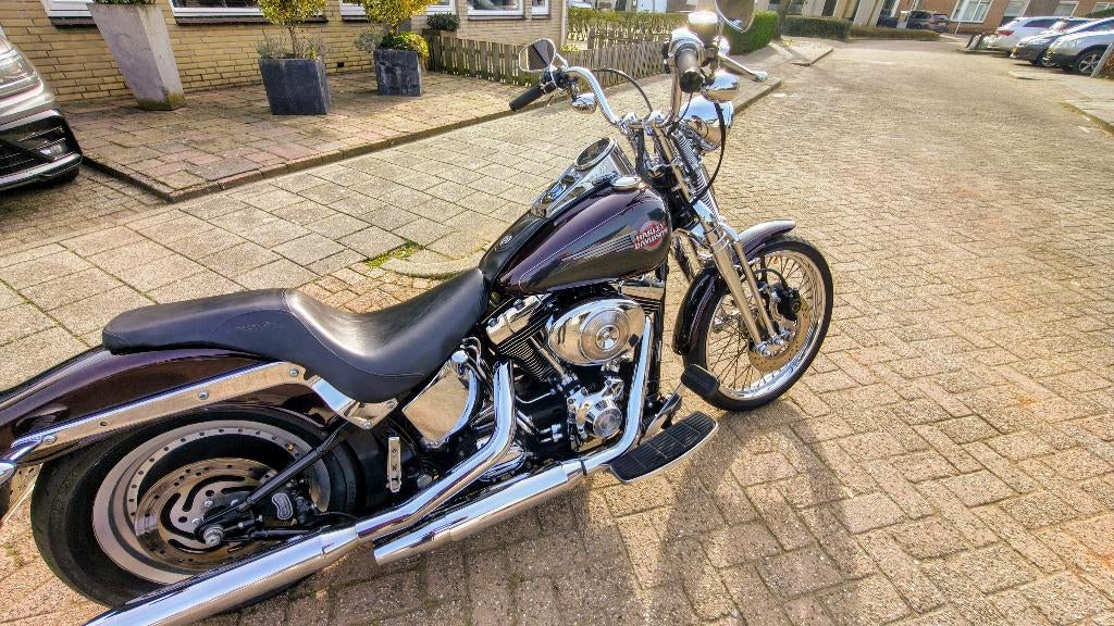 Harley Davidson FXSTS Softail Springer, Motoren, 2 cilinders, Particulier, Chopper, Motorrijbewijs A