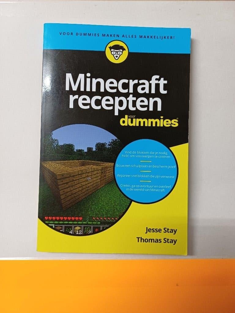 Boek - Minecraft Recepten voor Dummies - voor het spel, Ophalen of Verzenden, Gelezen