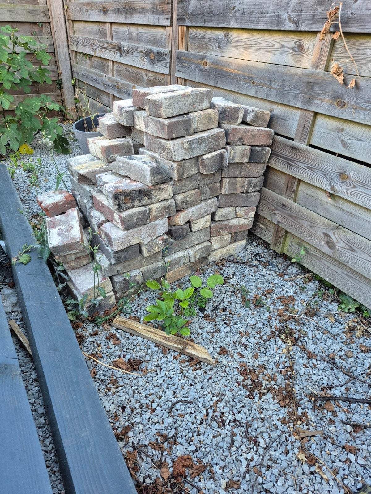 Gratis af te halen: Oude bakstenen (ca. 1.2 pallet), Doe-het-zelf en Verbouw, Metselstenen, Ophalen of Verzenden, Gebruikt, Bakstenen