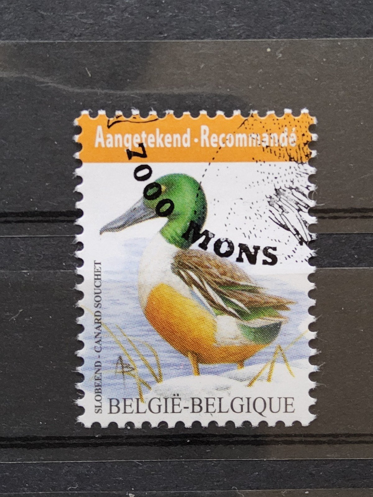 België Postzegel - Slobeend - Aangetekend, Met stempel, Verzenden, Frankeerzegel, Gestempeld
