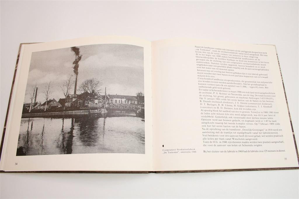 Midwolda & Oostwold in Oude Ansichten — Een Historisch Beeld, Boeken, Ophalen of Verzenden, Gelezen