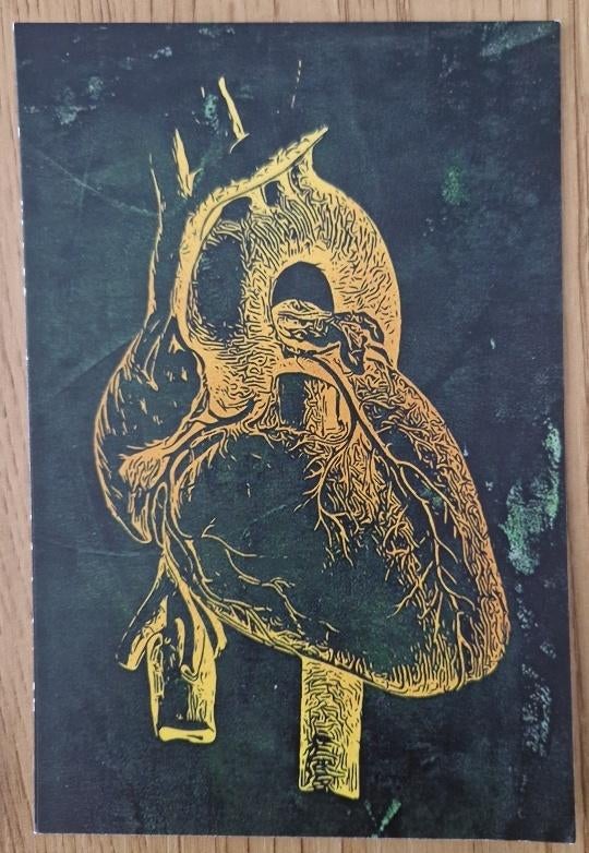 Menselijke Anatomie 3 hart Ansichtkaart, Verzenden, 1980 tot heden, Ongelopen, Overige thema's