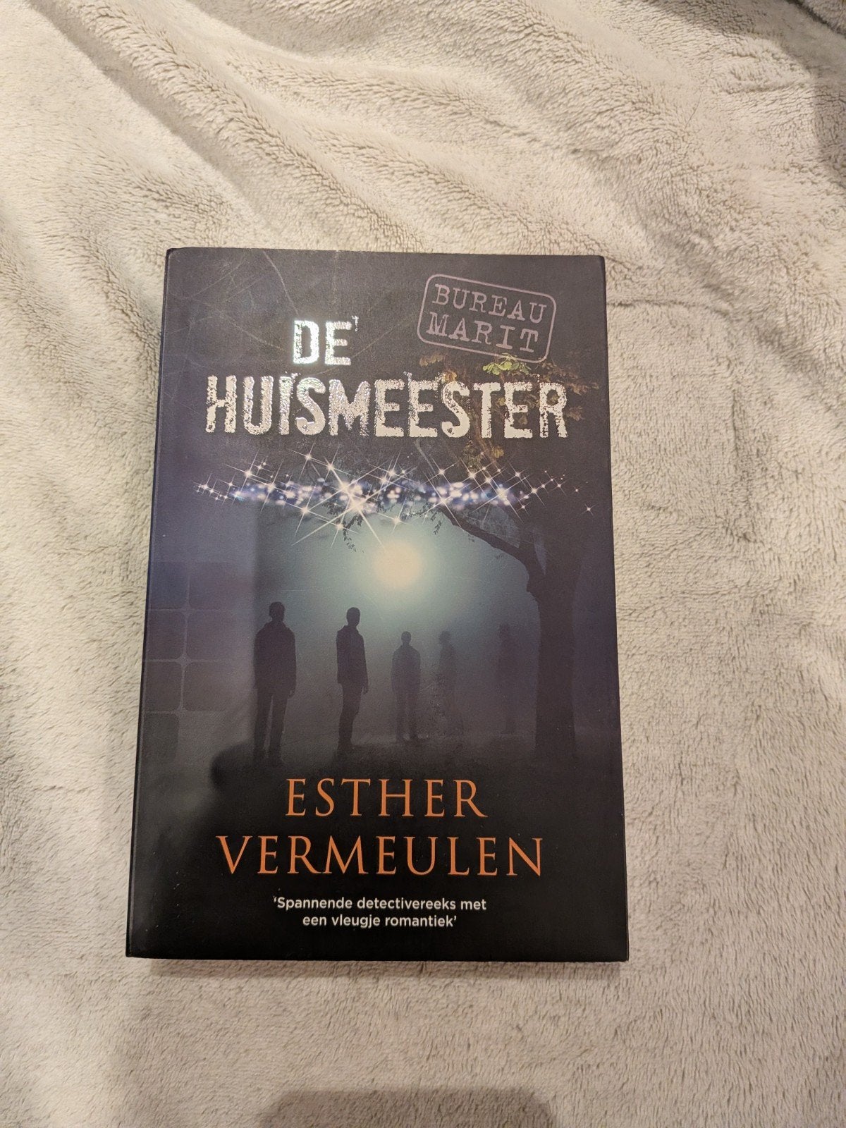 Esther Vermeulen - De huismeester, Ophalen of Verzenden, Esther Vermeulen