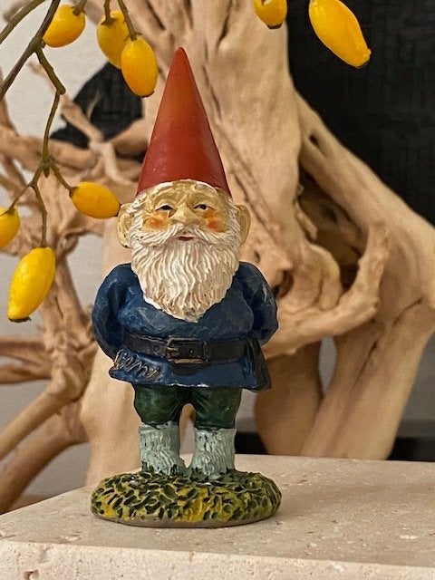 David de Kabouter, Ophalen of Verzenden, Zo goed als nieuw, Fantasy