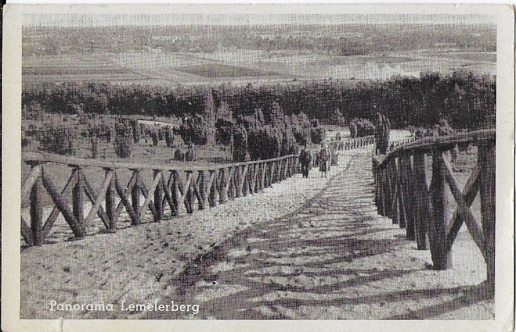 Q118 gelopen oude ansichtkaart panorama lemelerberg 1953, Ophalen of Verzenden, 1920 tot 1940, Gelopen