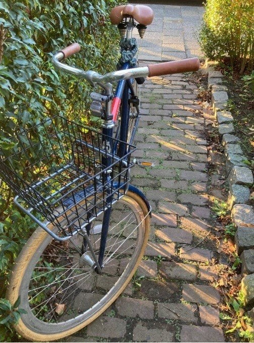 Veloretti cafe chaser blauw - framehoogte 59cm, Overige merken, Terugtraprem, Gebruikt, Ophalen of Verzenden
