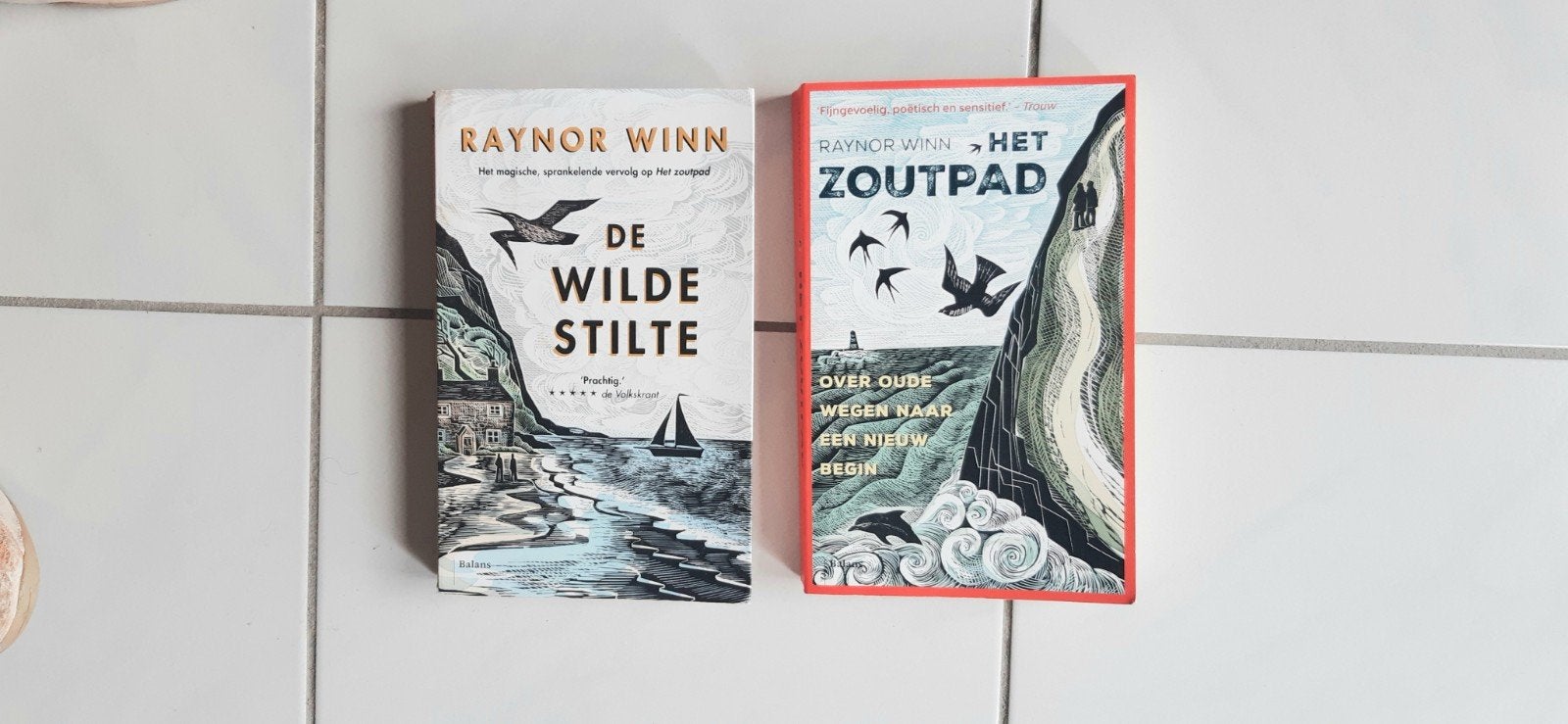De wilde Stilte, en /of Het Zoutpad: Raynor Winn r, Boeken, Ophalen of Verzenden, Zo goed als nieuw, Raynor Winn