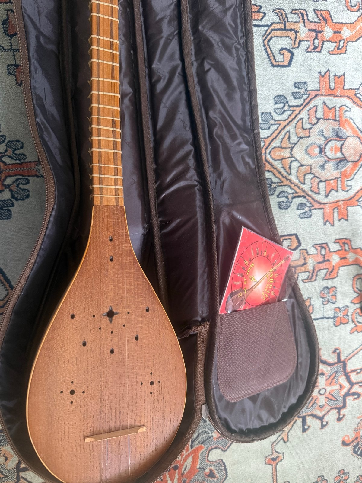 Setar (Perzische luit) met hoes en extra snaren, Verzenden, Gebruikt, Luit, Saz of Bouzouki