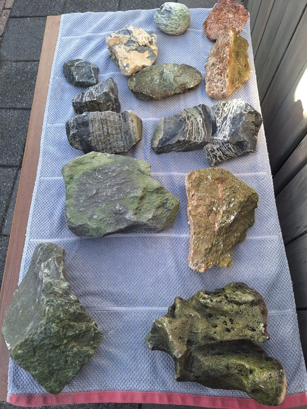 aqarium stenen, Ophalen, Plant(en), Steen of Hout
