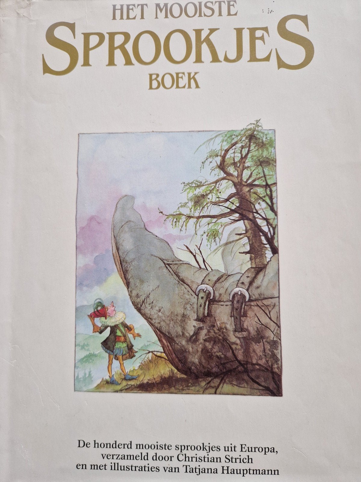 Het mooiste sprookjesboek, Boeken, Ophalen of Verzenden, Zo goed als nieuw