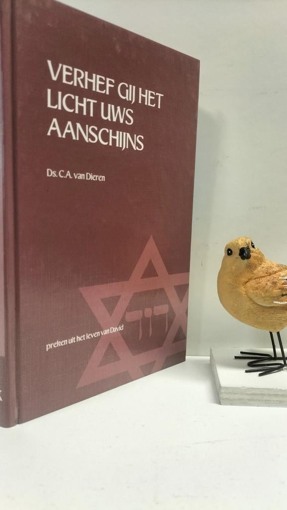 Dieren, C.A. van; David; Verhef Gij het licht dl. 4, Boeken, Godsdienst en Theologie, Gelezen, Christendom | Protestants, Ophalen of Verzenden