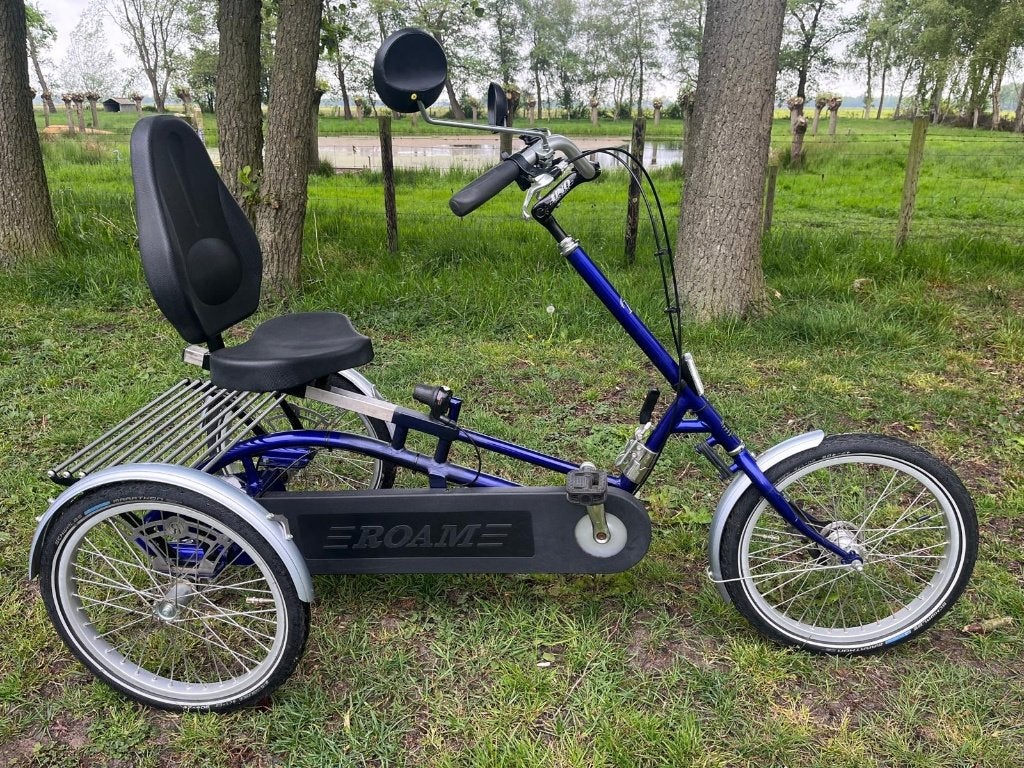 Roam driewieler vouwfiets 7V met fietsendrager / koga trek, Fietsen en Brommers, Ophalen, Zo goed als nieuw, Roam
