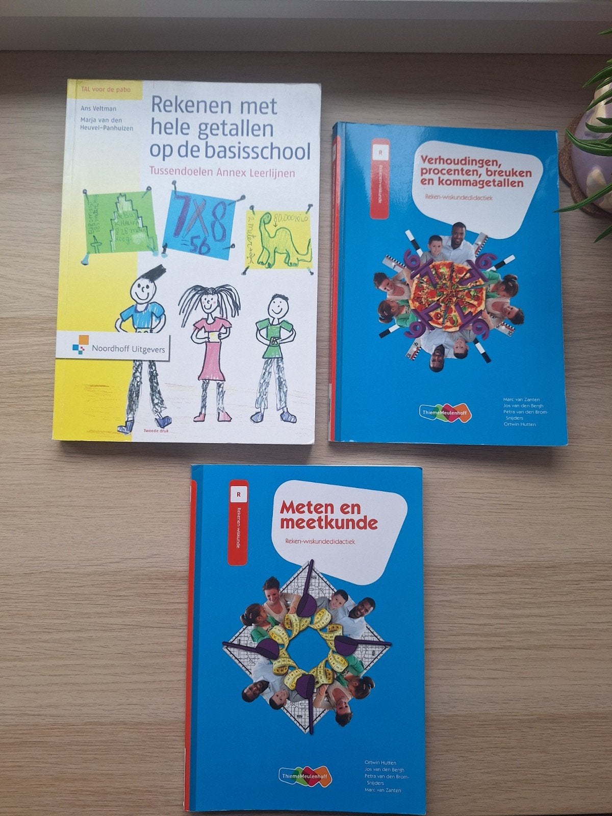 Rekenboeken Pabo, Ophalen of Verzenden, Zo goed als nieuw