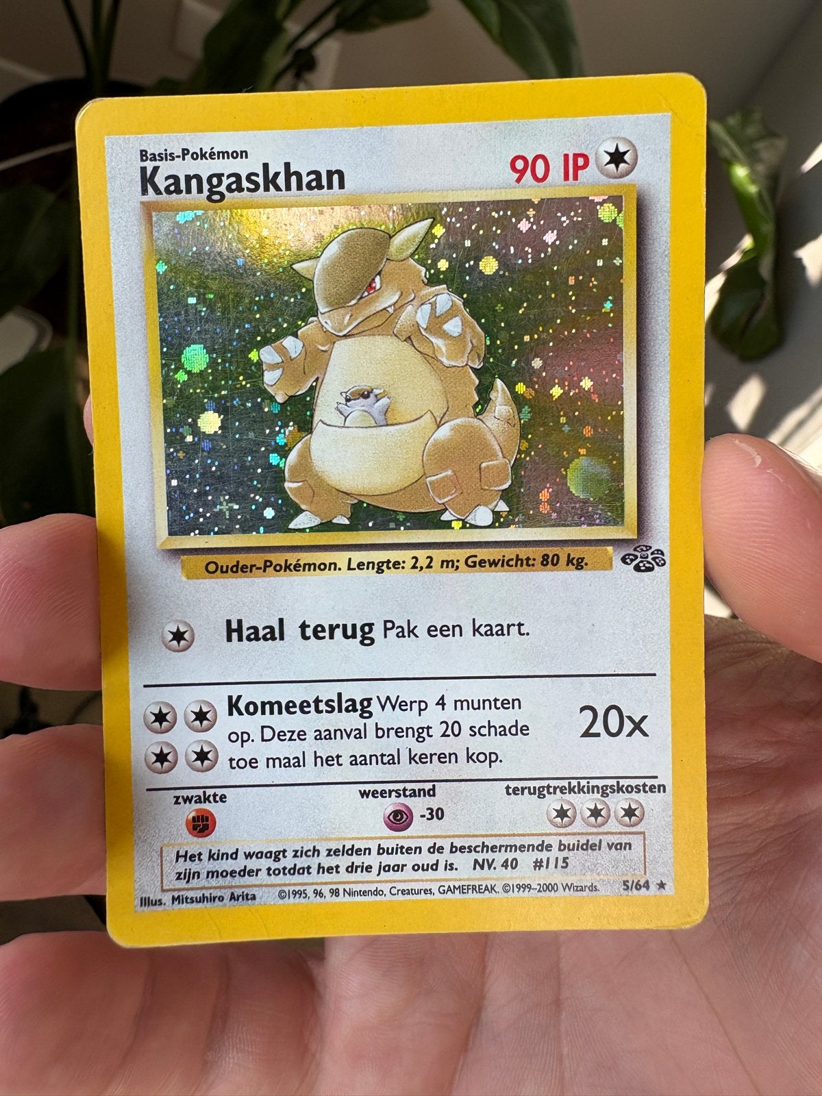 Kangaskhan Jungle Holo (NED) (5/64) GD, Ophalen, Gebruikt, Losse kaart