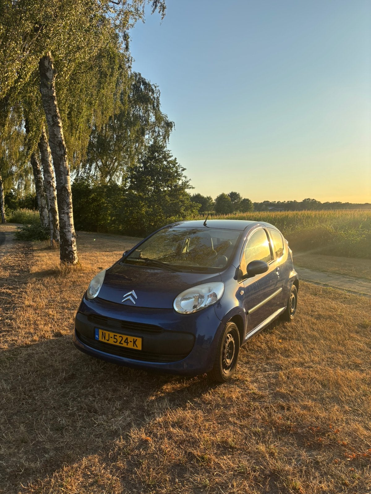 Citroën C1 1.0 3-DRS 2008 Blauw, Voorwielaandrijving, Stof, Zwart, C1