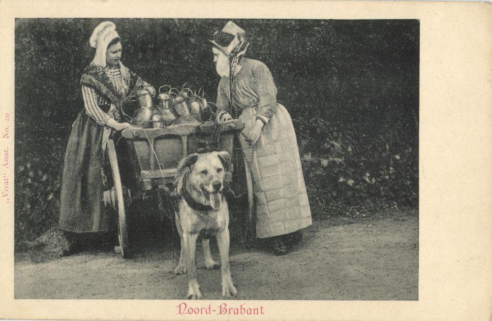Noord-Brabant, Melkmeisje Hondenkar Dorpsleven Vivat no. 20, Ophalen of Verzenden, Voor 1920, Ongelopen, Noord-Brabant