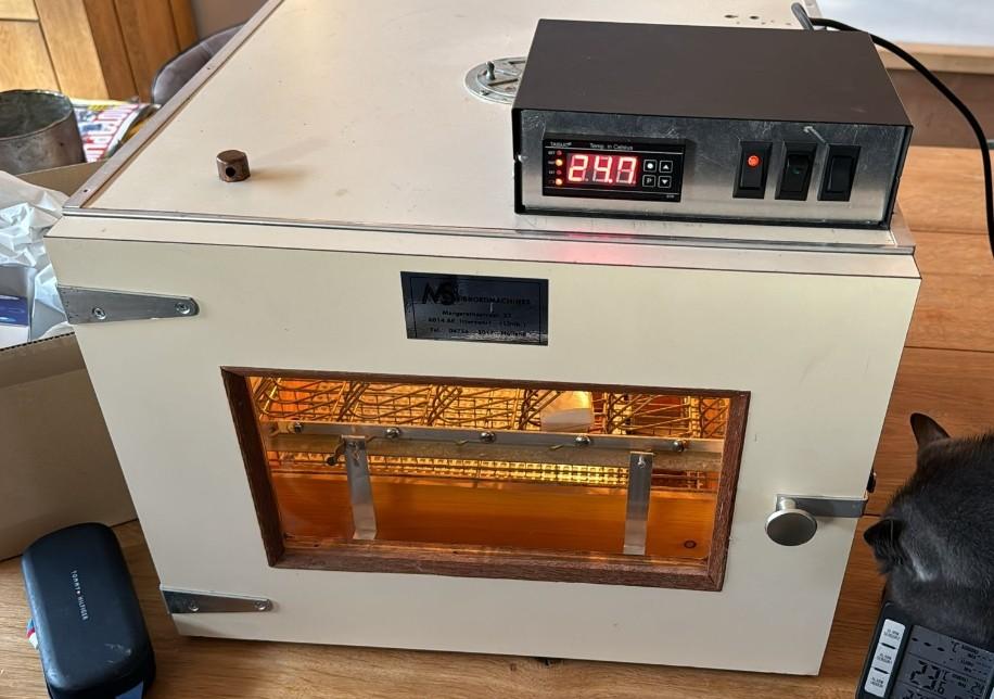 MS 50 half automaat, Ophalen of Verzenden, Broedmachine
