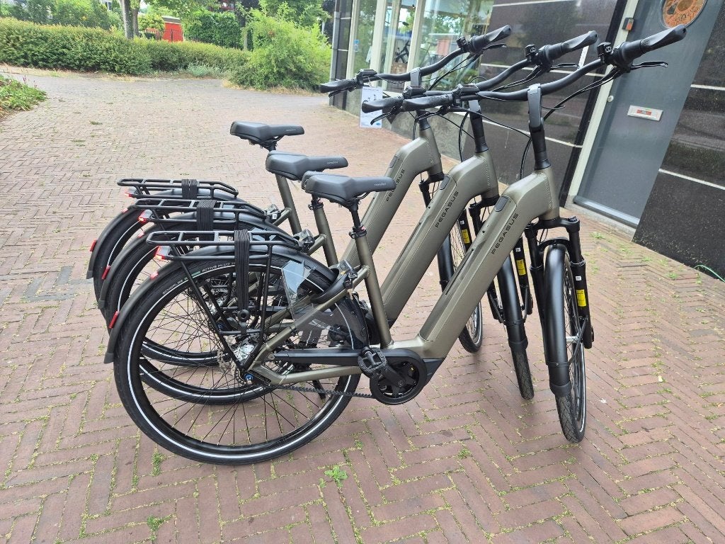 Ravenna EVO 7F Belt E-bike 28 Monza Grijs Mat 540Wh Accu, Fietsen en Brommers, Elektrische fietsen, Overige merken, Nieuw, Pegasus