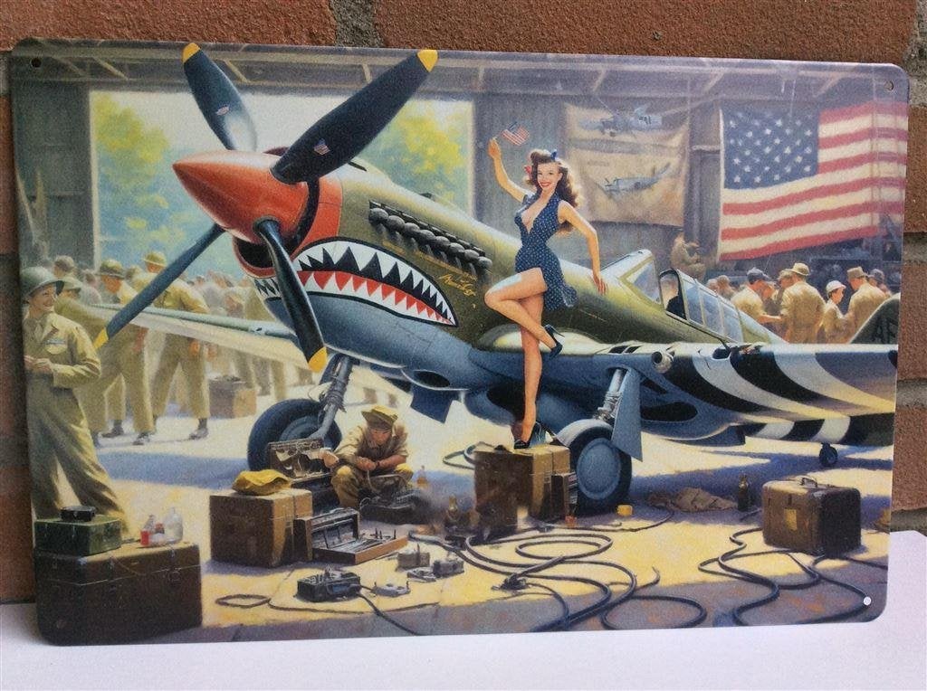 Curtiss P-40 Warhawk Pinup metalen WW2 Wandbord, Verzenden, Nederland